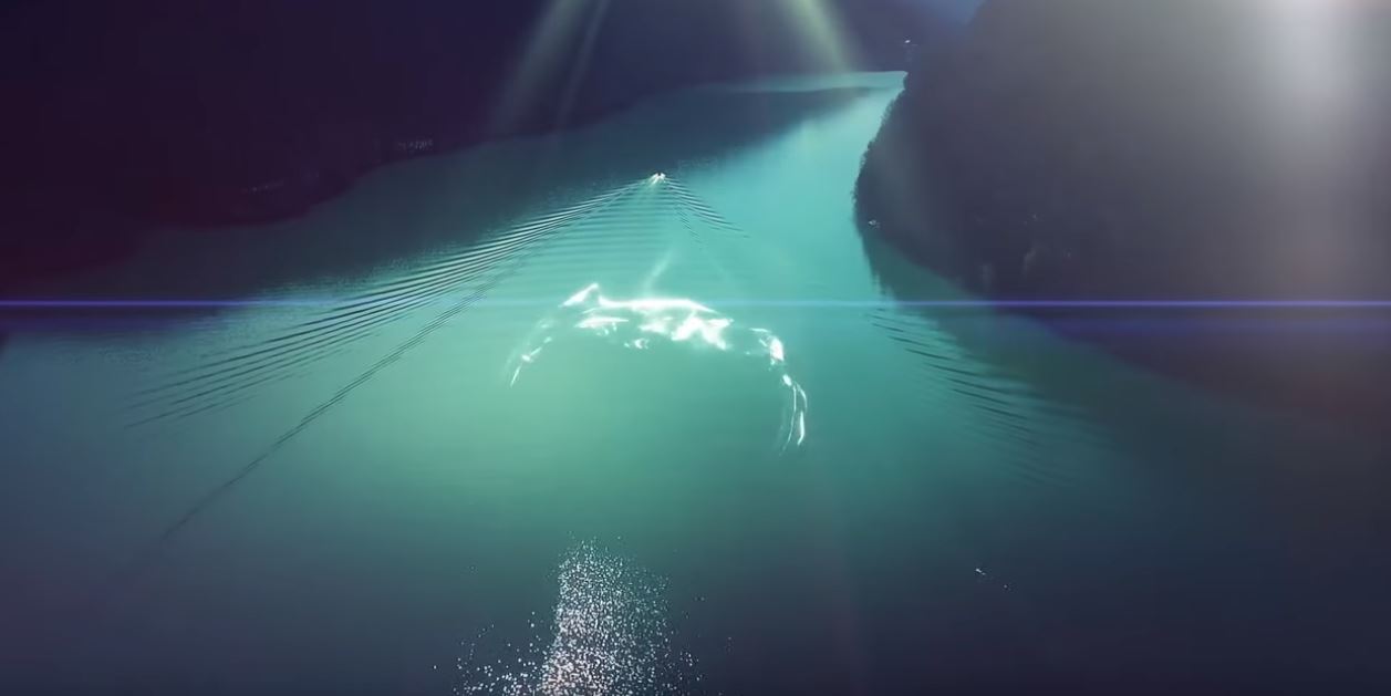 Це твоє Закарпаття