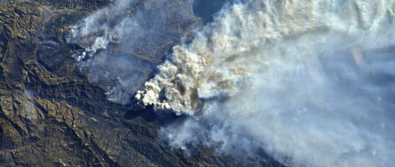 Екологічні наслідки спалювання сухої трави