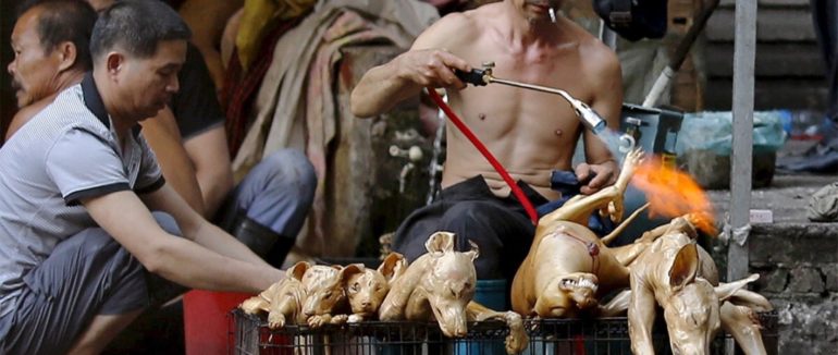 Кулінарна заборона: китайці стануть вегетаріанцями?