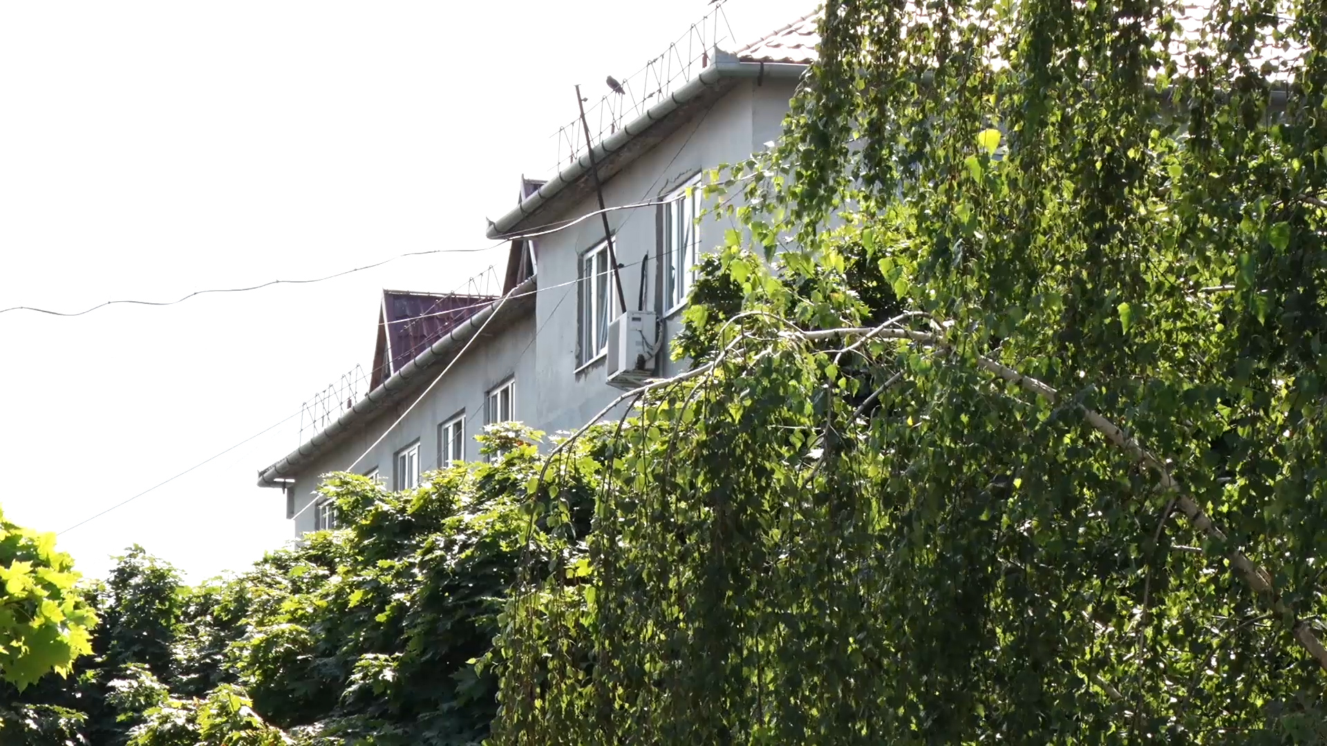 В Мукачеві спалах коронавірусу: інфікувались 26 підопічних інтернату