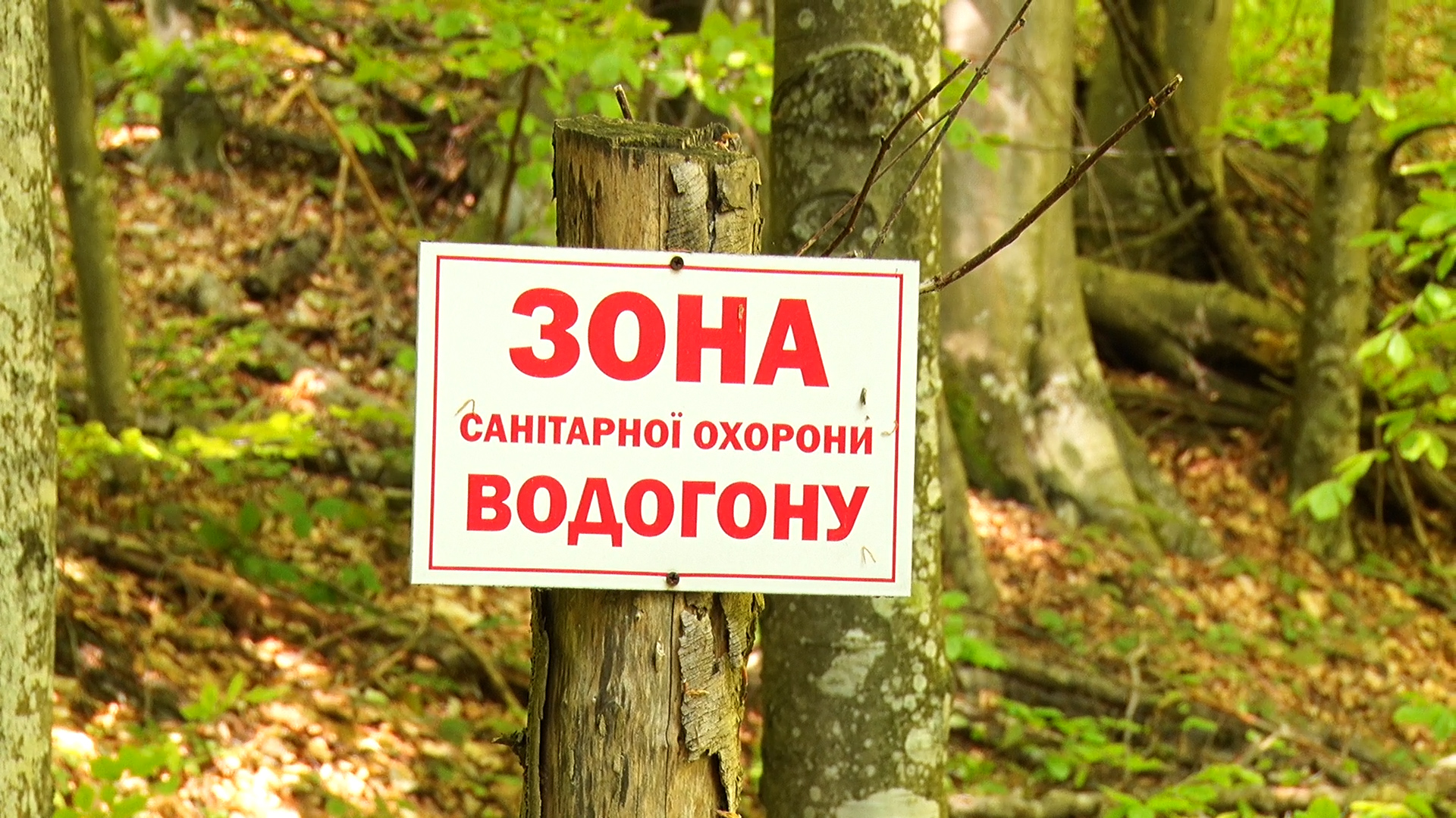 Якість води під питанням - комісія у Поляні вкотре намагалася перевірити водогін