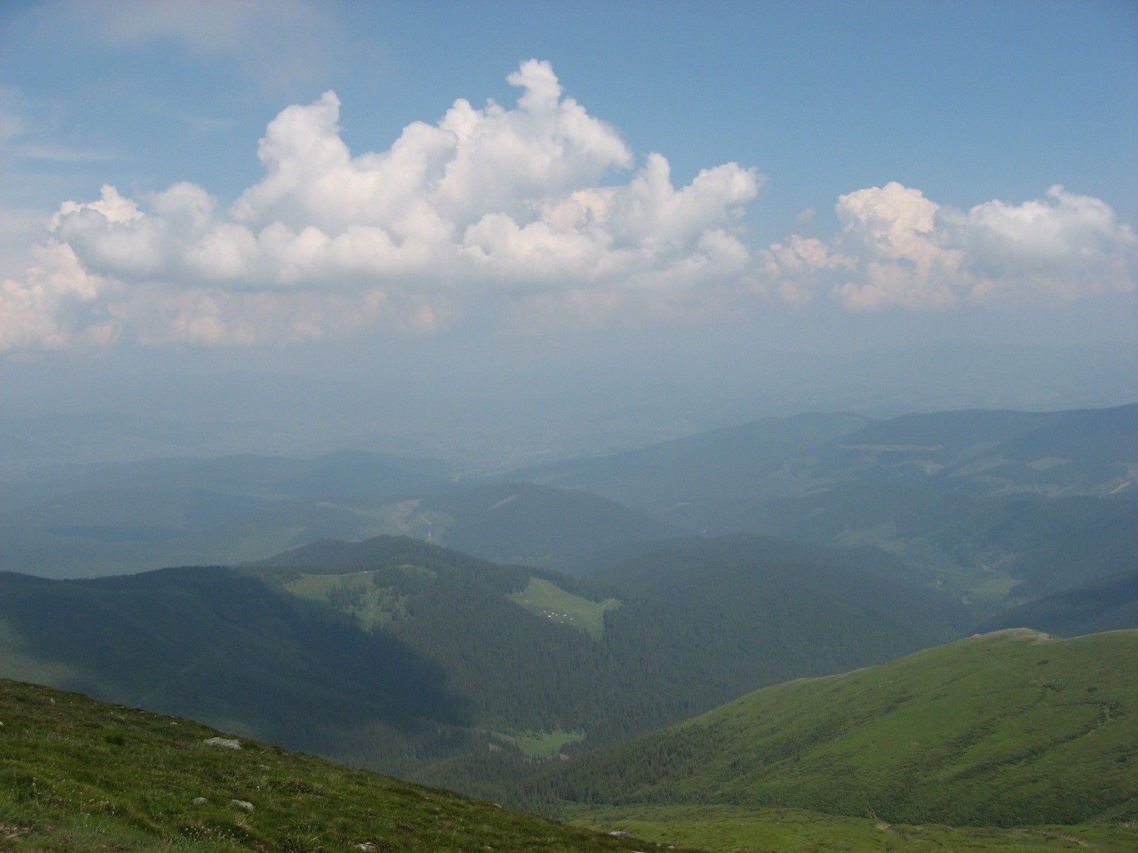 Літня відпустка: дикі Карпати замість закордонних курортів