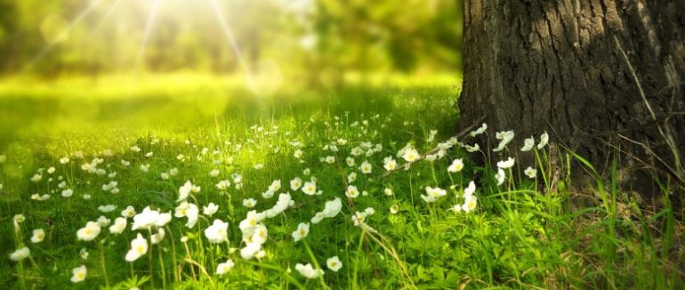 За версією кліматологів цьогорічний травень виявився найтеплішим в історії спостережень