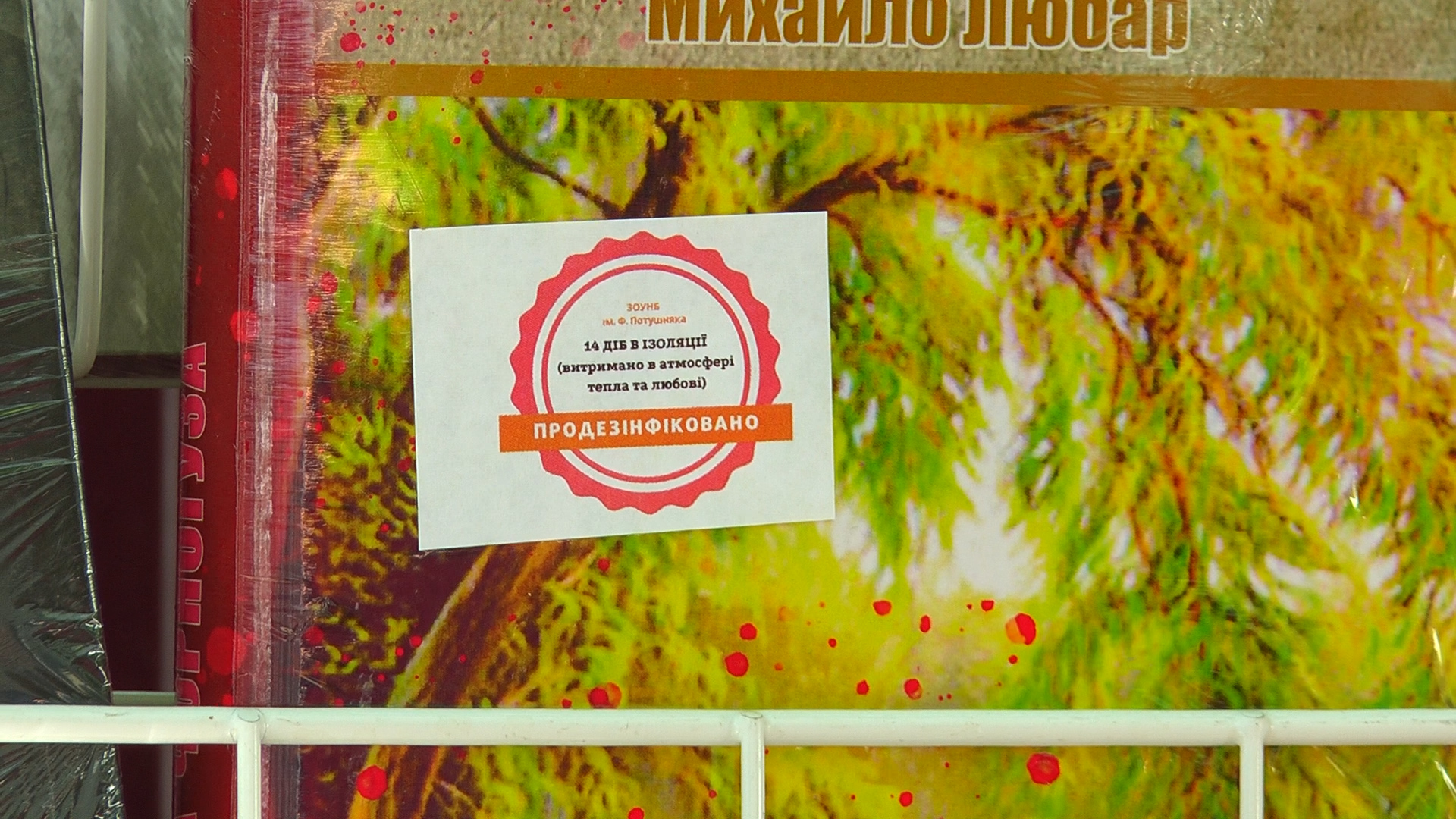 В Ужгороді випробовували новий спосіб безкоштовного пізнання
