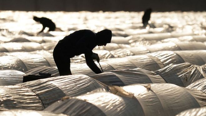 Чому українці їдуть на заробітки, не дивлячись на загрозу та ризик