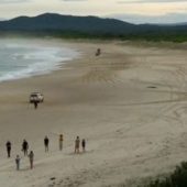 В Австралії акула вбила підлітка-серфера