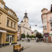 В Ужгороді одну з вулиць назвуть на честь покійного Мілана Шашіка