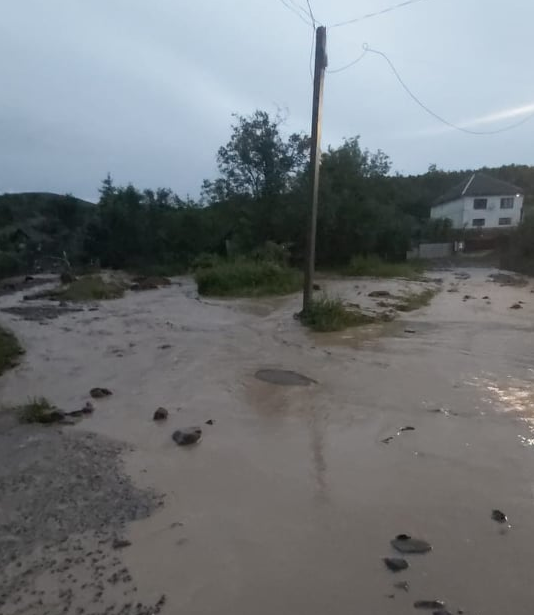 Нічна негода на Закарпатті валила дерева, руйнувала електромережі та підтоплювала будинки - фото