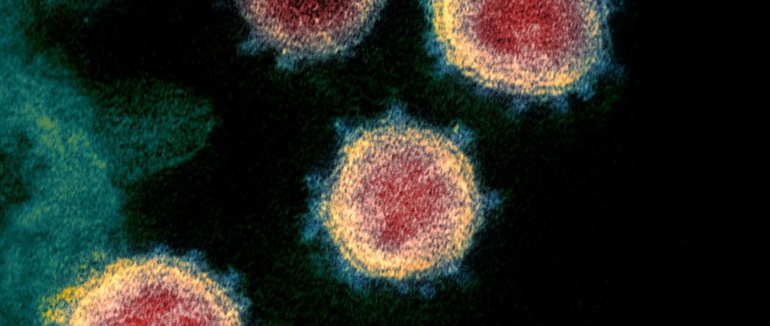 В Ухані протягом 7 років зберігали зразки вірусу, схожого на SARS-CoV-2