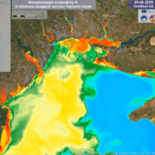 “Цвітіння” Чорного моря показали з космосу – відео