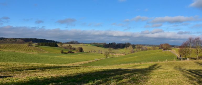 Органи місцевого самоврядування можуть отримати повноваження контролю за використанням та охороною землі