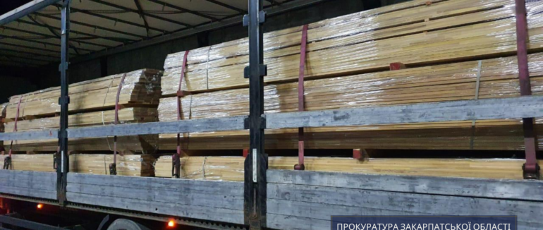 На Закарпатті приватна фірма намагалася незаконно перевезти через кордон деревину вартістю близько 800 тисяч гривень
