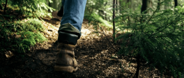 Шукали декілька днів: на Закарпатті знайшли мертвого чоловіка