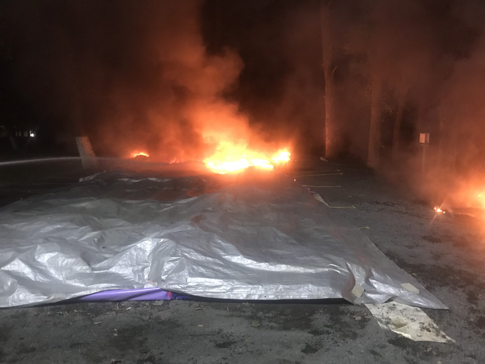 Нічна пожежа в Боздоському пaрку в Ужгороді: подробиці від рятувальників - фото