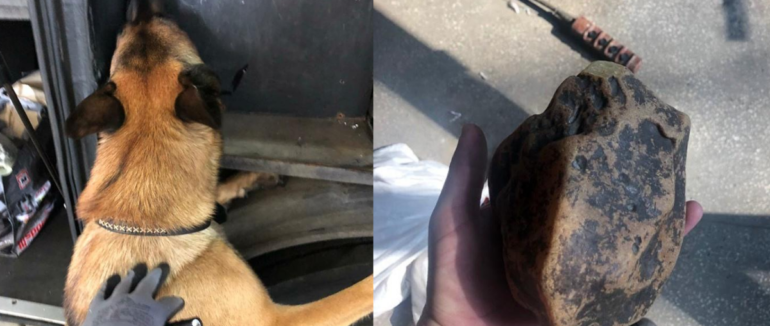 Бурштинова контрабанда на українсько-угорському кордоні: чотирилапий помічник винюхав тайник