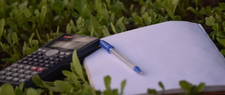 Як послаблення карантину вплинуло на місцеві бюджети Закарпаття?