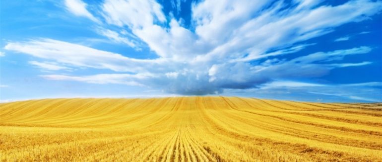 24 серпня День Незалежності України: як святкуватимемо та чи буде парад у 2020 році