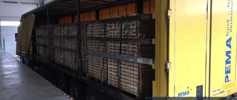 Контрабанда на Закарпатті: на ПП “Ужгород” зупинили вивезення лісоматеріалів вартістю у понад 300 тисяч гривень