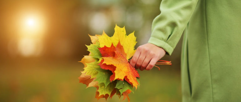 Прогноз погоди на 22 вересня: бабине літо зі спекою та сонцем повертається