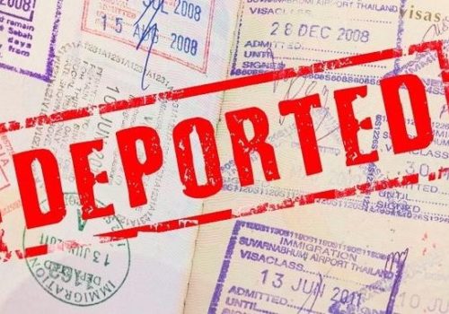 Словаччина депортувала 23 нелегальних працівників з Сербії і України