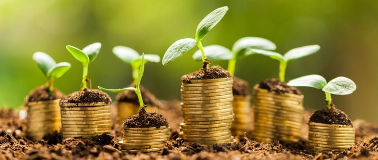 На Закарпатті ексчиновника Держкомзему підозрюють у службовій підробці та незаконному відчуженню земель