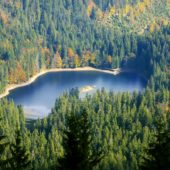 Зберегти довкілля: Національний парк “Синевир” долучився до міжнародної еко-акції