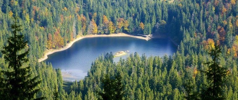 Зберегти довкілля: Національний парк “Синевир” долучився до міжнародної еко-акції