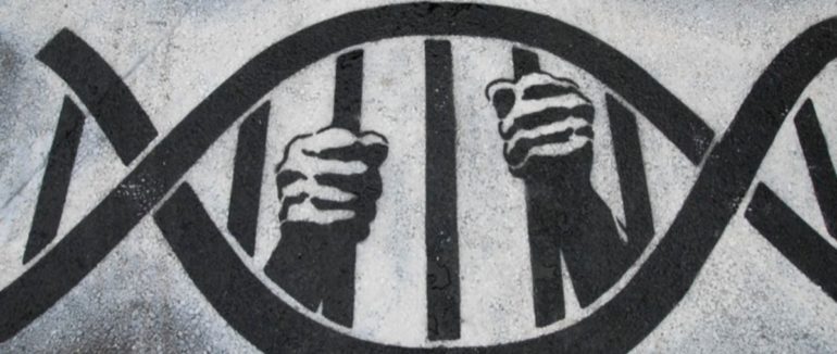 Вбивство 14-річної дівчинки розкрили через 35 років за допомогою бази ДНК