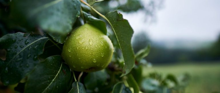 Закарпаття потерпатиме від злив, решту територій очікує спека