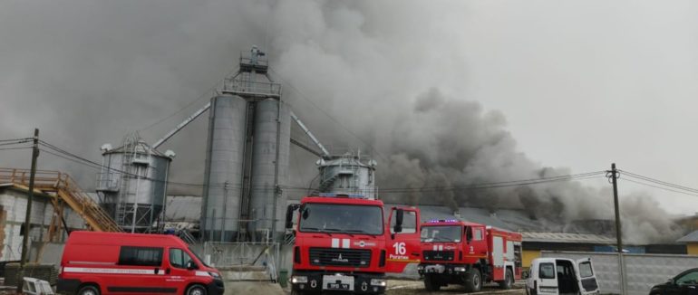 Масштабна пожежа на свинофермі: на Івано-Франківщині під загрозою опинилося 30 тисяч свиней