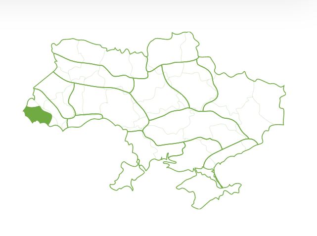 Мультикультурне Закарпаття: 6 історій національних меншин краю