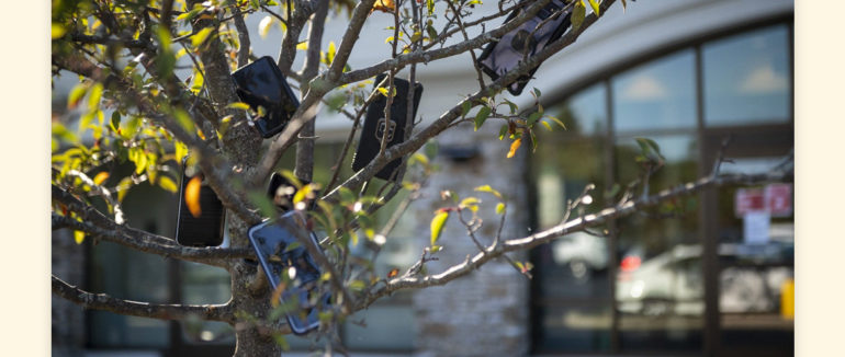 Конкуренція під час кризи: у США на деревах розвішують смартфони біля складів Amazon