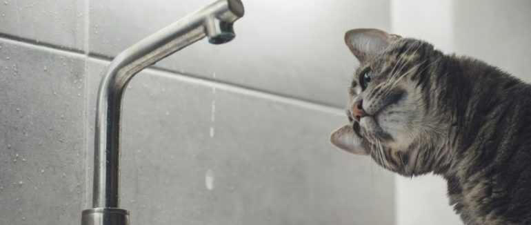 У Мукачеві три вулиці без води: відсьогодні проводиться реконструкція водопровідної мережі