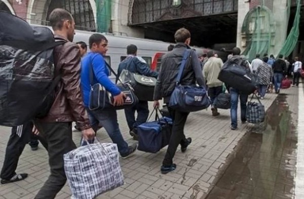 На Виноградівщині затримали чотирьох нелегалів