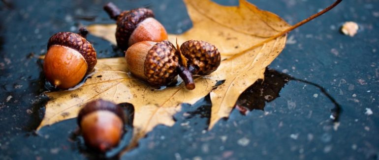 Прогноз погоди на 19 жовтня: очікується осіннє похолодання. В Карпатах мокрий сніг