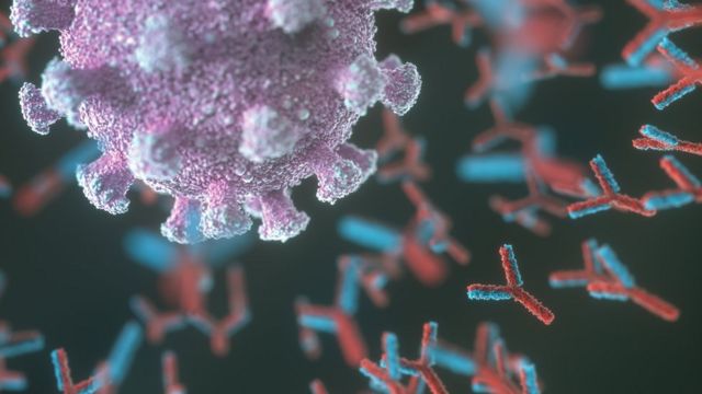 Ужгород у помаранчевій зоні: на Закарпатті відбулося засідання обласної регіональної комісії ТЕБ та НС