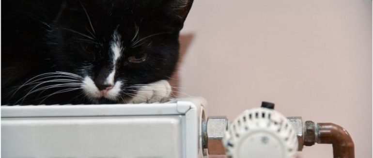 Місцеві вибори, осінній призов, ціни на опалення та адаптивний карантин: що очікувати в жовтні