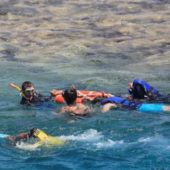 12-річний хлопчик перебуває у реанімації: у Єгипті акула напала на сім’ю українців