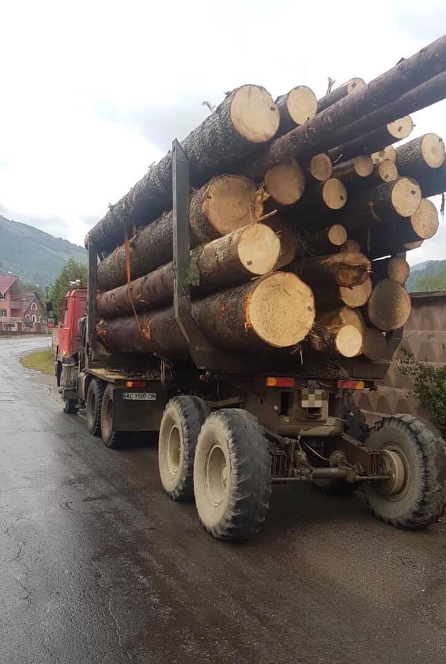 На Закарпатті поліція затримала вантажівку з "лівою" деревиною