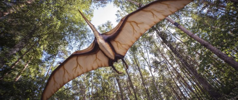 Вже цього тижня на Закарпатті відкриють парк розваг “DinoPark” у Берегові