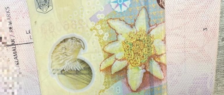 Без полісу страхування: на Закарпатті на ПП “Дякове” громадянин Туреччини намагався підкупити прикордонника