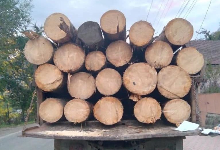 Незаконне перевезення деревини на Закарпатті: на Рахівщині поліція зупинила вантажівку з лісопродукцією