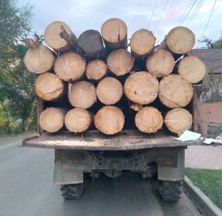 Незаконне перевезення деревини на Закарпатті: на Рахівщині поліція зупинила вантажівку з лісопродукцією