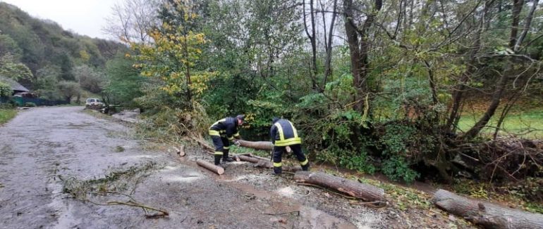 Негода на Закарпатті: дерева масово падали на проїжджу частину дороги