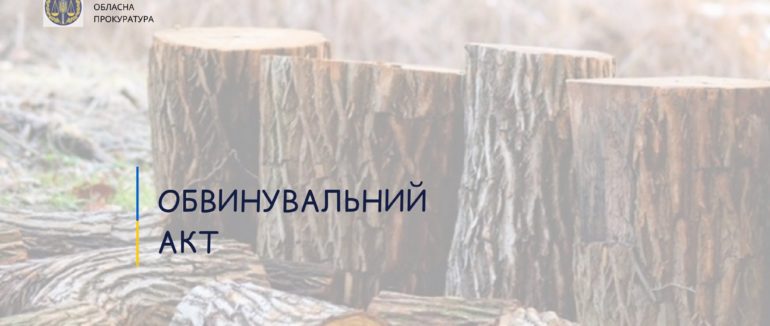 Незаконна порубка ялин на Закарпатті зі збитками у майже 100 тисяч гривень: прокуратура скерувала обвинувальний акт