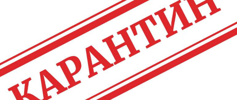 Закарпаття без “зеленої” та “жовтої” карантинної зони. Ужгород у “червоній”, Мукачево – “помаранчевій”