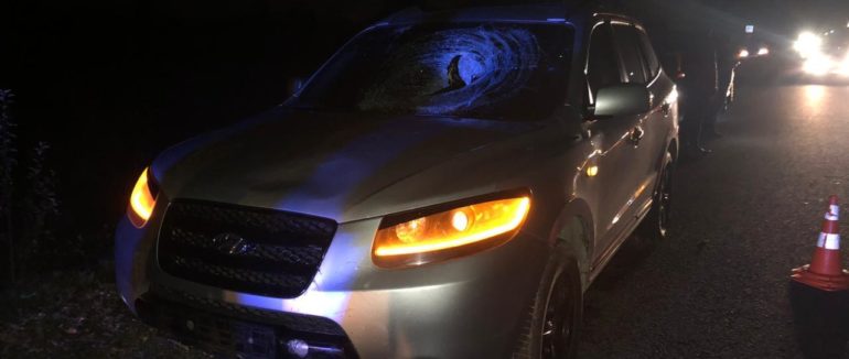 Смертельна аварія на Ужгородщині: від отриманих травм загинув 50-річний чоловік