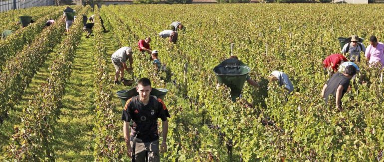 Попри карантин та обмеження: на заробітки у Польщу виїхало більше 500 тисяч українців