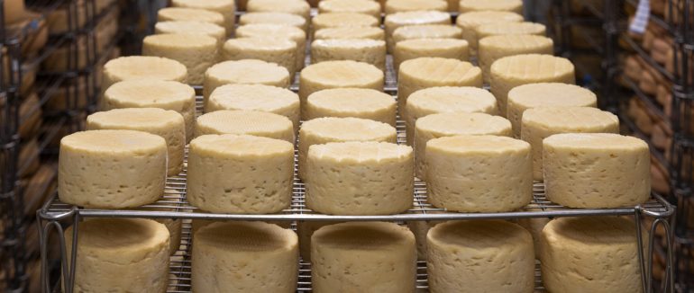 Туристичне Закарпаття: у Рахові відкрили музей бриндзи, який популяризує професію вівчарства