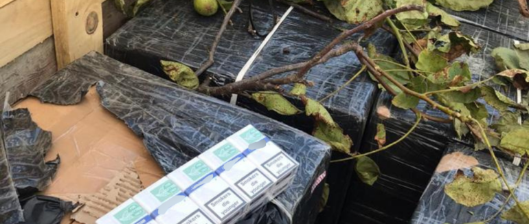 Тютюнова контрабанда на тракторі: на Закарпатті судитимуть 24-річного виноградівця